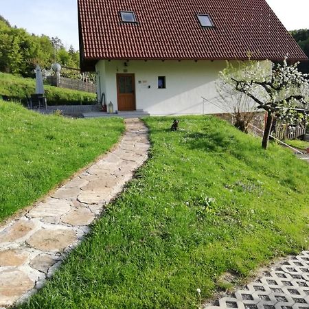 Bioferienhaus Muster - Dominkusch Possnitz Exteriér fotografie